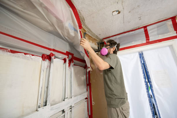 Best Residential Mold Inspection & Testing  in Siena College, NY